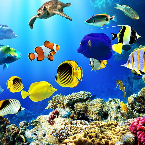 Hi - Picture 10 of 16